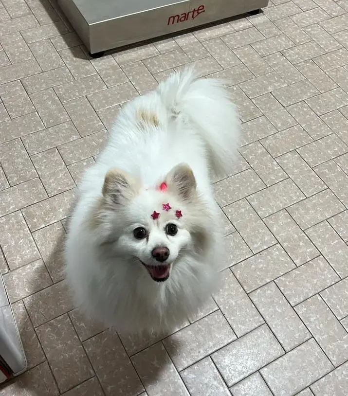 Procedimento cirúrgico completo