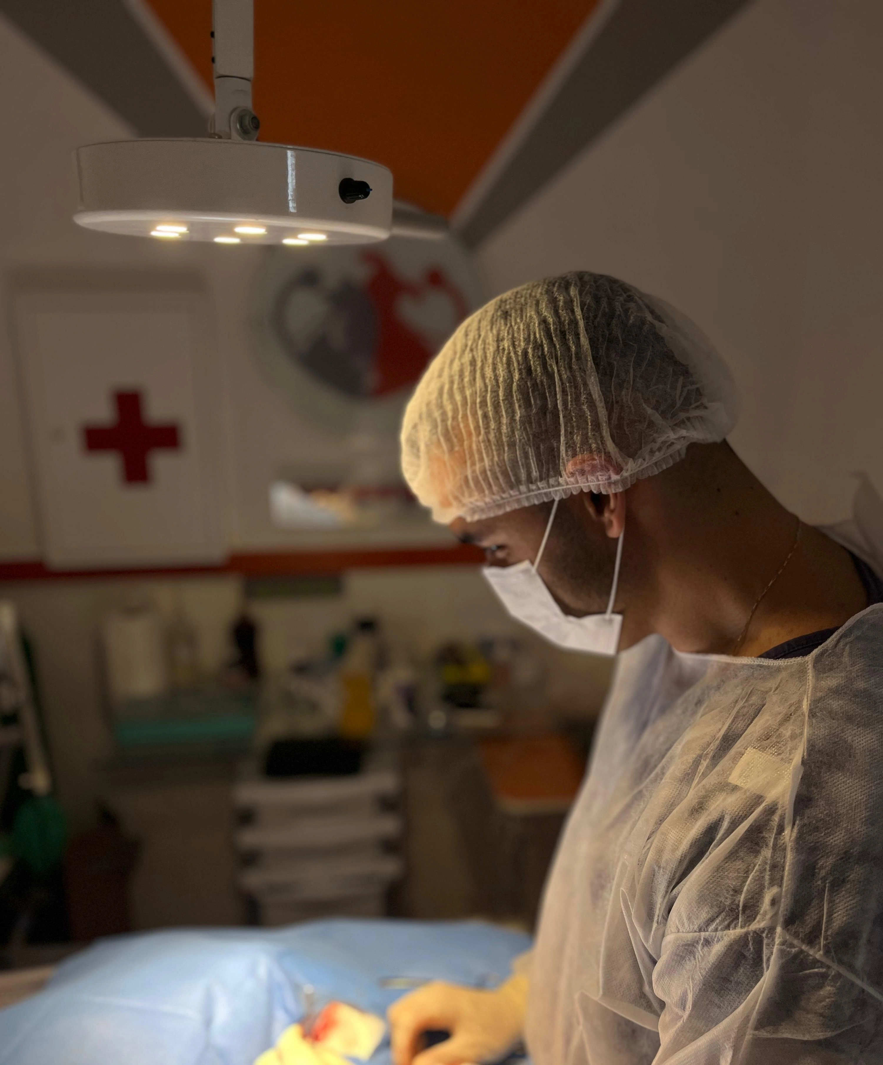 Veterinário ortopedista examinando pet